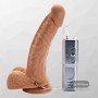 Realistic Vibrator with Suction Cup 7 Inch RSV-076
